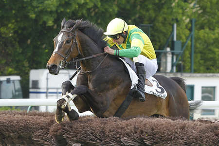 Actualités Hippiques